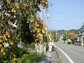 tsukaharasinden225s.JPG^ˌVc