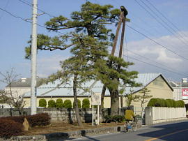 yodabashi-hidarifuji209s.jpg^xm̔