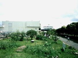 gesui01.jpg/中島下水処理場