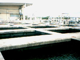 gesui05.jpg/最終沈殿地