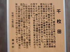 yotsuya-senmaida53as.jpg^lJ疇c