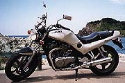 VX800.jpg