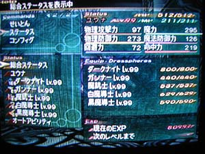 ゲージ振り切れまくりなステータス。