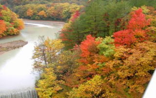 森の大橋の見事な紅葉