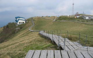 剣山は殆ど全てが木道