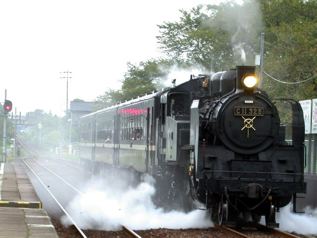 C11