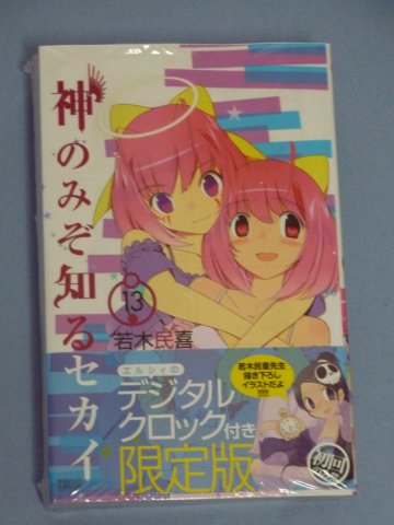 神のみぞ知るセカイ(13)