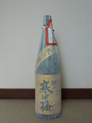 越の寒中梅
