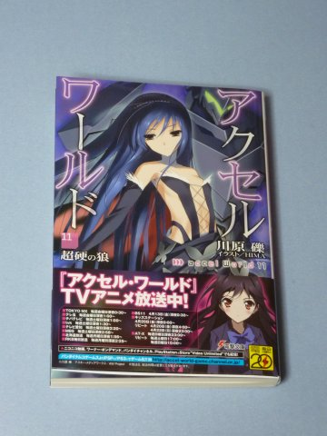 アクセル・ワールド(11)