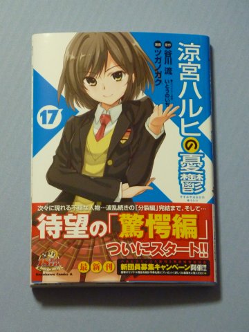 涼宮ハルヒの憂鬱(17)