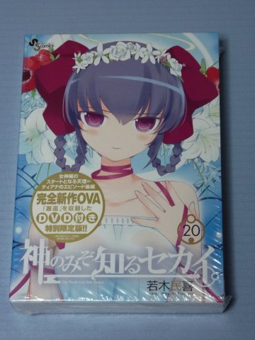 神のみぞ知るセカイ(20)