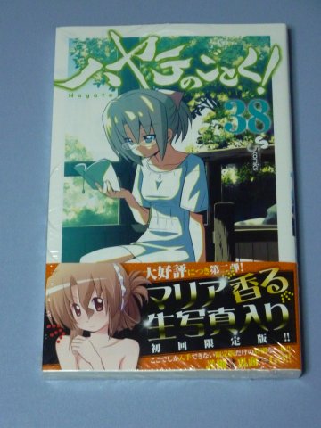ハヤテのごとく!(38)