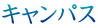 LpX