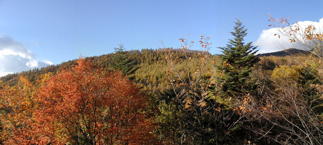 パノラマ紅葉の朝