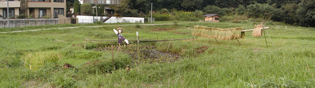 はさがけ風景