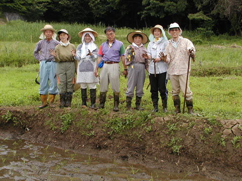 田植え完了