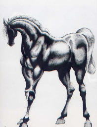 馬