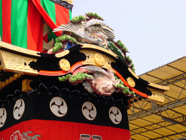 蕨