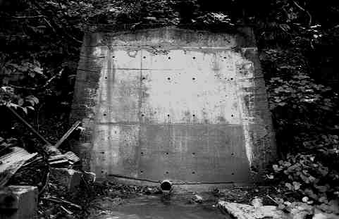 �o�ԒJ�z�R�p