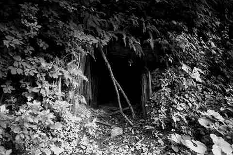 �o���q���R�p