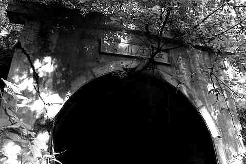 �o�c��Y�z�p