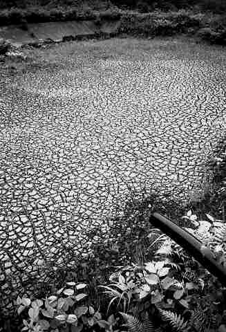 �o�����z�R�p