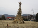 img0000.jpg