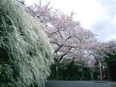 _uR꒚