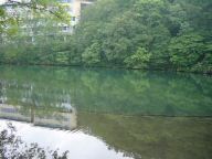 DSC03400s.JPG