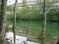 DSC03403s.JPG