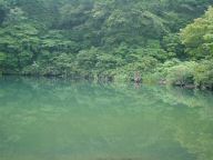 DSC03404s.JPG