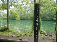 DSC03405s.JPG