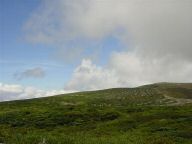 DSC03421.JPG