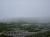 DSC03428s.JPG