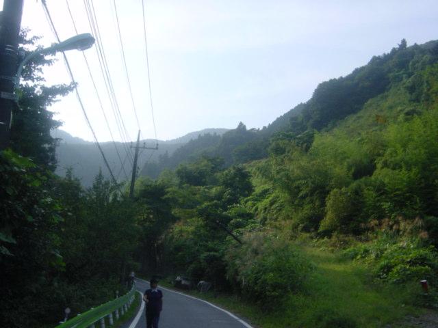 �������������o�X��
