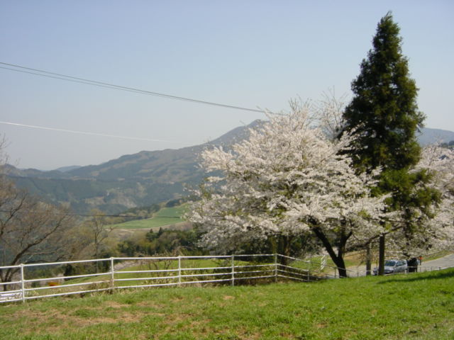 �܂��A��