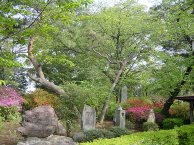�쑽�@
