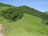 DSC01075.JPG