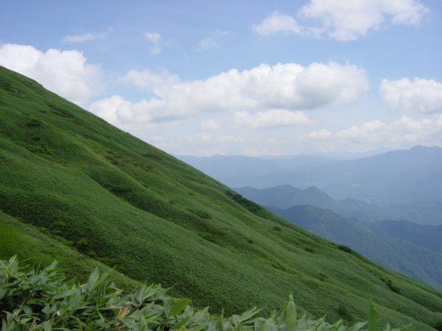 DSC01080.JPG