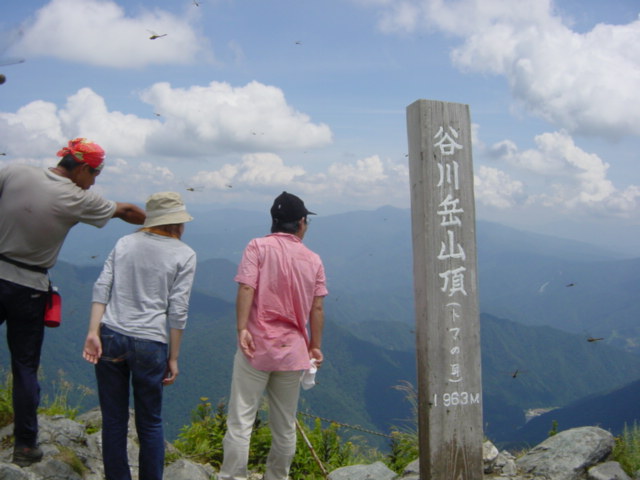 DSC01084.JPG
