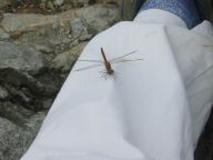 DSC01102.JPG