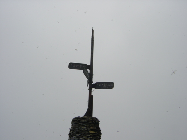 DSC01111.JPG