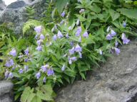 DSC01115.JPG