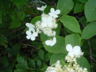 DSC01119.JPG