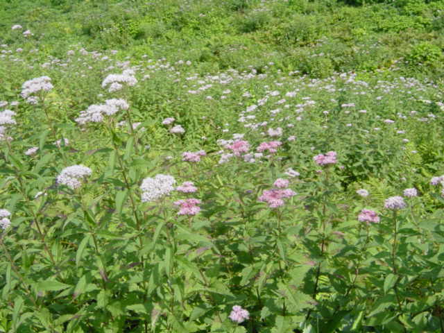 DSC01127.JPG