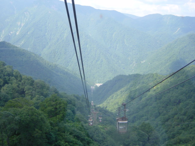 DSC01130.JPG