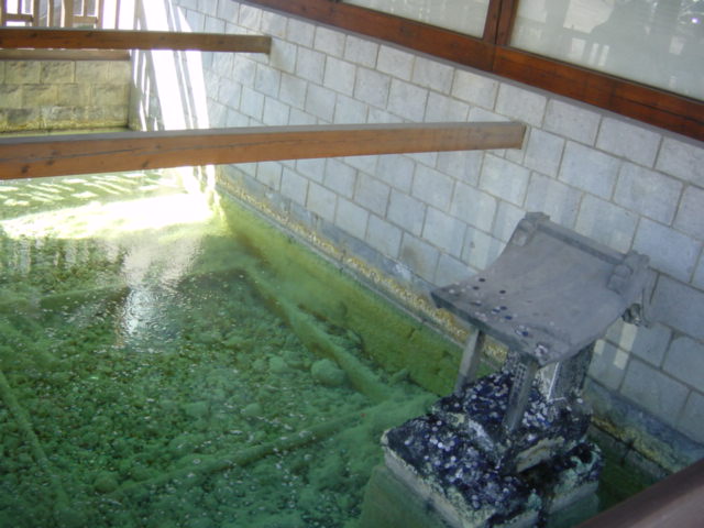 DSC01154.JPG