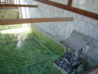 DSC01154.JPG