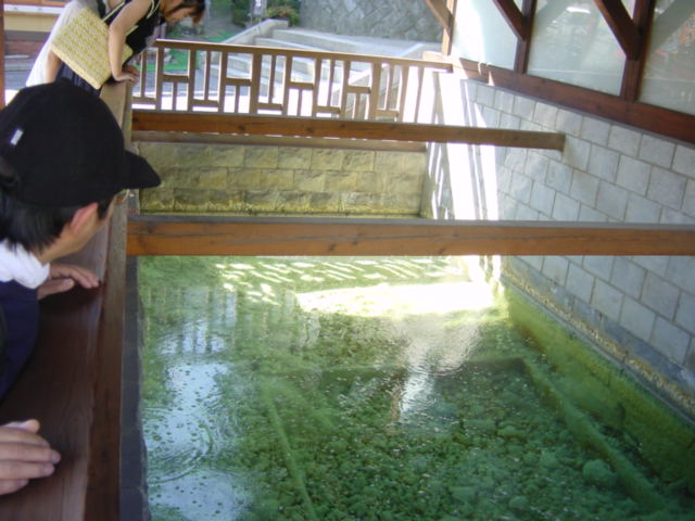 DSC01155.JPG