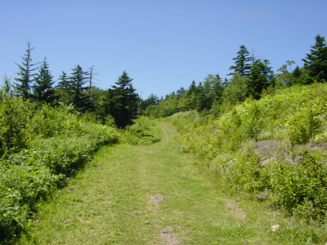 DSC01170.JPG